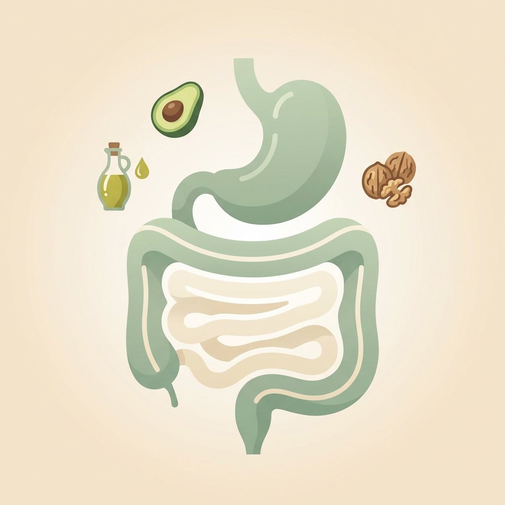 Ketogen kost och en hälsosam tarm – infografik om fettdiarré